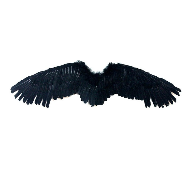 날개 - 악마 날개 (블랙)